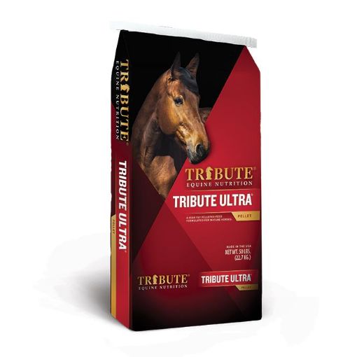 Picture of TRIBUTE EQUINE NUTRITION - ULTRA 22.7KG